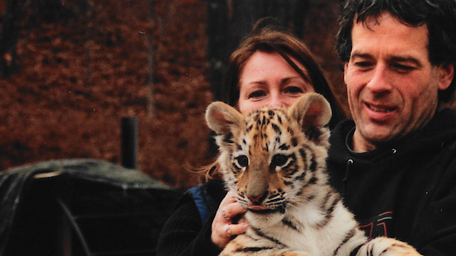 Watch Minnesota Tiger Man Online