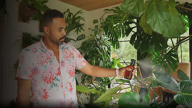 Watch Living Wild: Plant-spiration with Hilton Carter Online