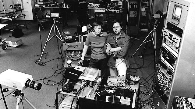 Watch The Vasulka Effect Online