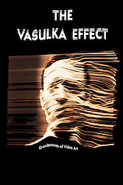The Vasulka Effect poster