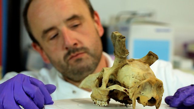 Watch Britains Big Cat Mystery Online