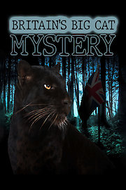 Britains Big Cat Mystery poster
