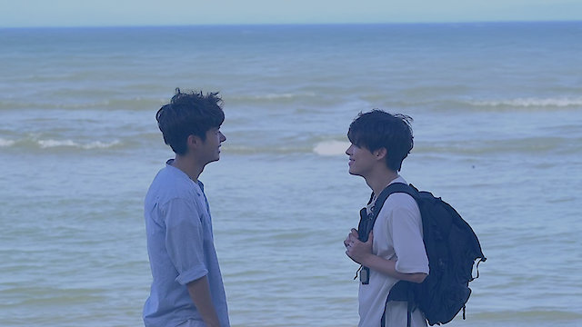 Watch Tropical Night Online