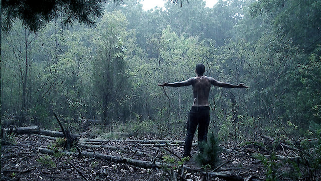 Watch The Pig Witch: Redemption Online