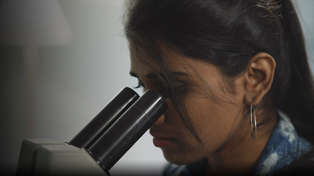 Watch The Brain-Gut Connection with Dr. Emeran Mayer Online