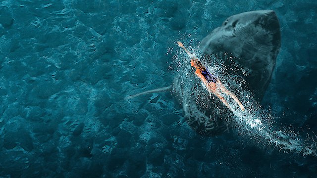 Watch Surviving Jaws Online