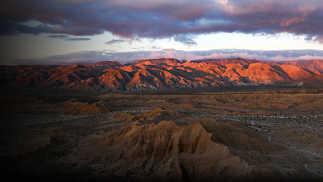 Watch San Diego: America's Wildest City Online