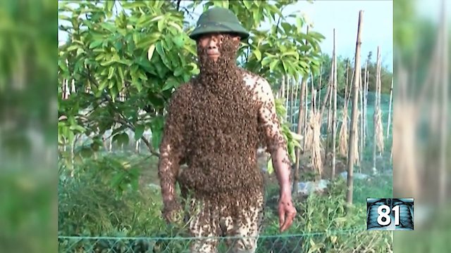 Watch 101 Body Shocks Online