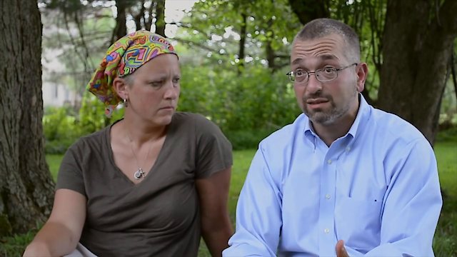 Watch Kicking The Hornet's Nest Online