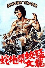 Spirits of Bruce Lee poster