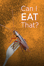 Can I Eat That? poster