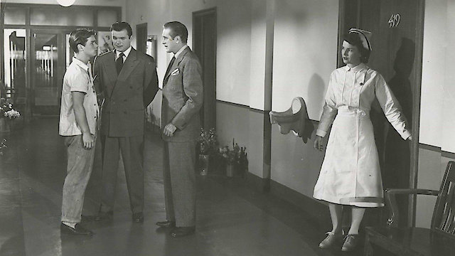 Watch The Devil On Wheels Online