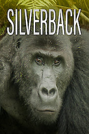 Silverback poster