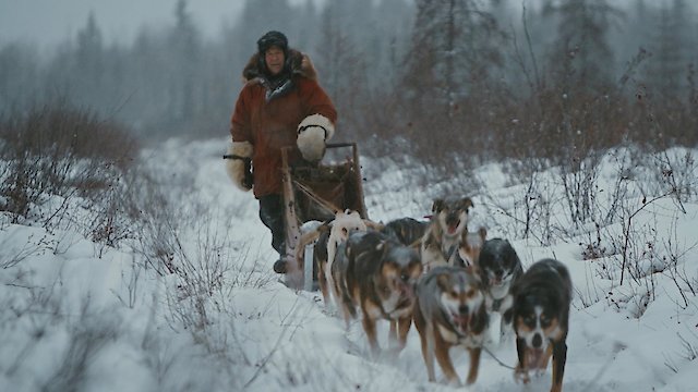 Watch The Stan Project Online