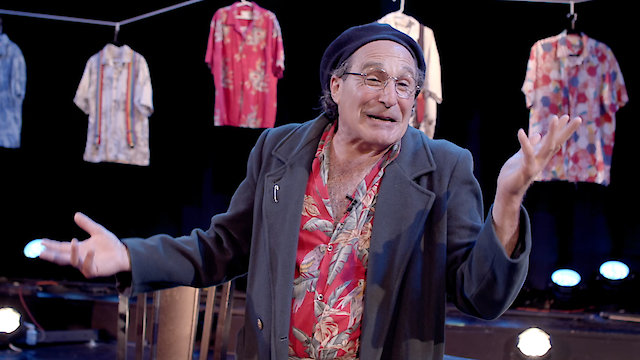 Watch Being Robin Online