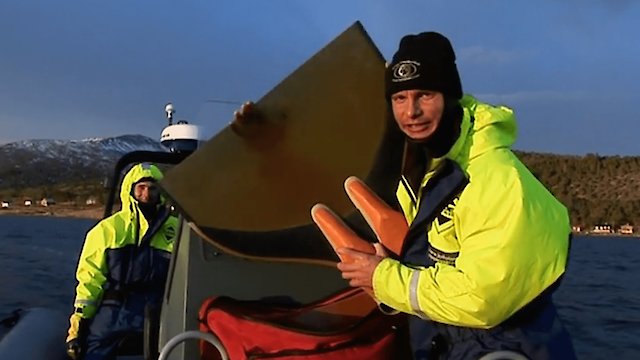 Watch Free Diving With Killer Whales Online