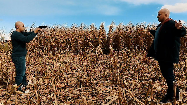 Watch The Blood Accord Online