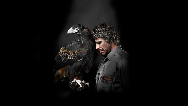 Watch Healing Online