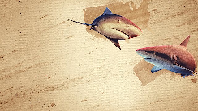 Watch Bull Shark Showdown Online