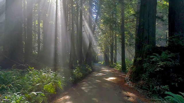 Watch Beautiful Northern California with music Online