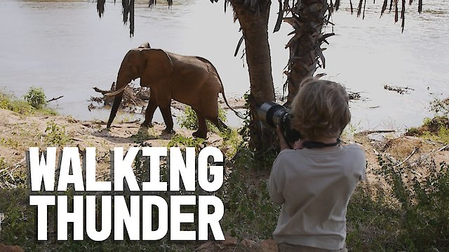 Watch Walking Thunder Online