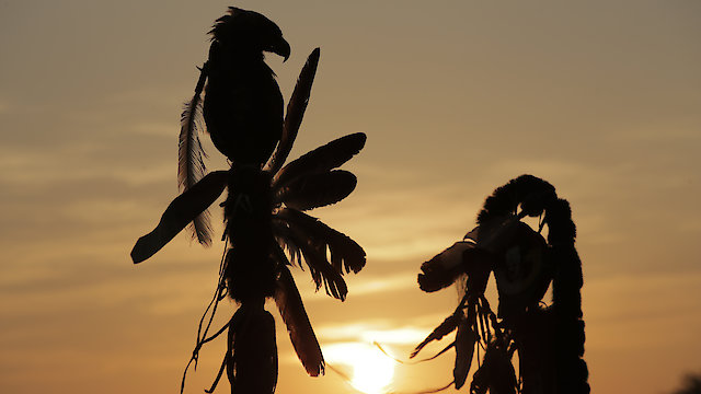 Watch The Missing and Murdered Online