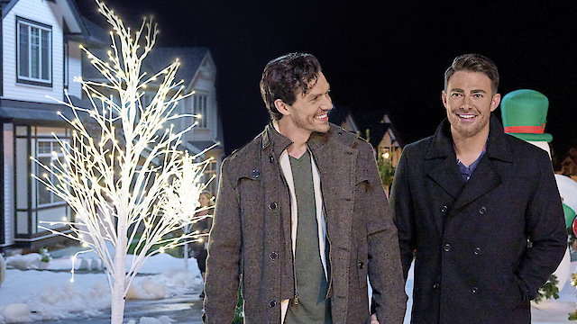 Watch Holiday Sitter Online