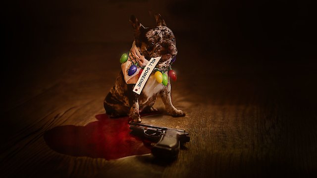 Watch New Year's Absolution Online