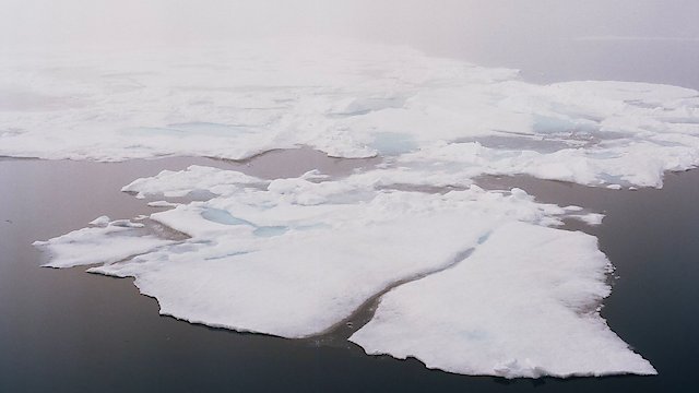 Watch A Map of the World in Time Online