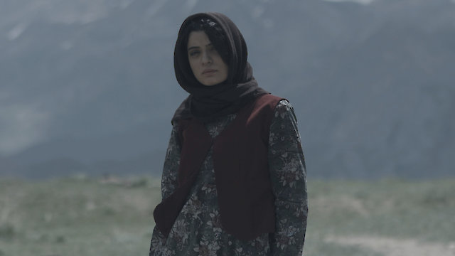 Watch Here One Does Not Die Online