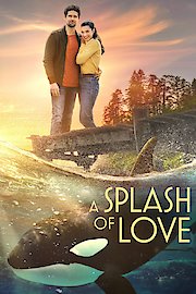 Splash of Love