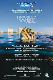 Troubled Waters, a turtle's tale.