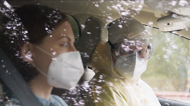 Watch Grey Elephant Online