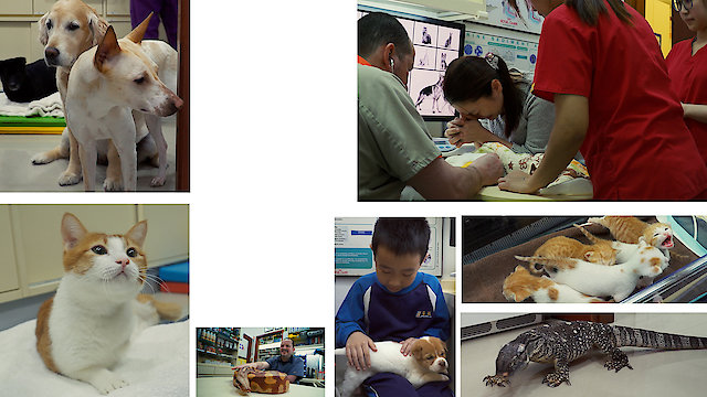 Watch Once They Were Here Online