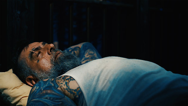 Watch The Last American Horror Show Vol. 2 Online