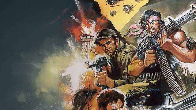 Watch Wild Team Online