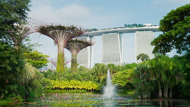 Watch River World Online