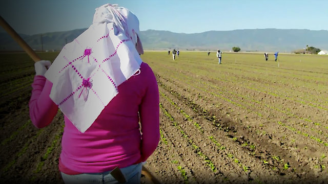 Watch Rape in the Fields Online