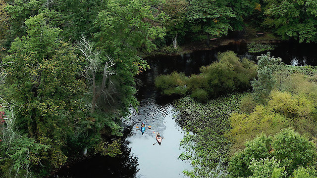 Watch American River Online