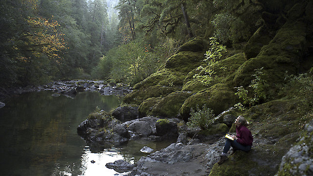 Watch Letters From the Big Man Online