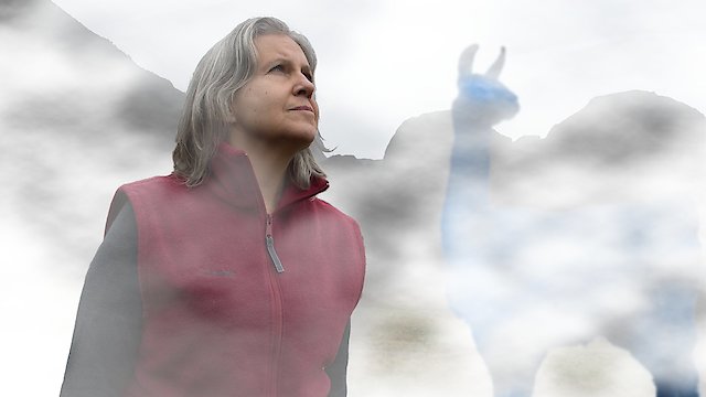 Watch The Blue Llama Secret Message Online