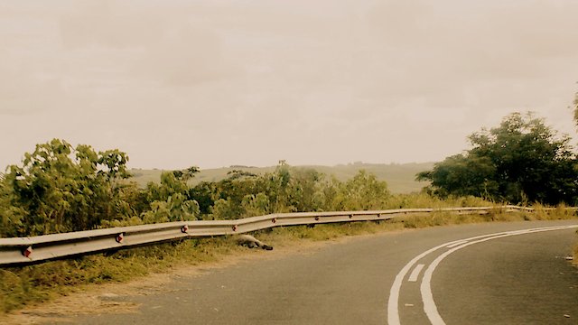 Watch Layla Fourie Online