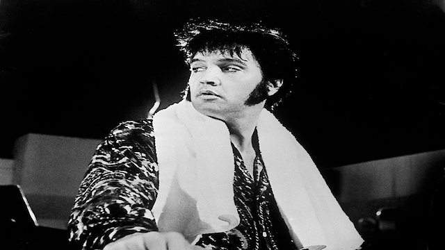 Watch Elvis Presley: Shook Up Online