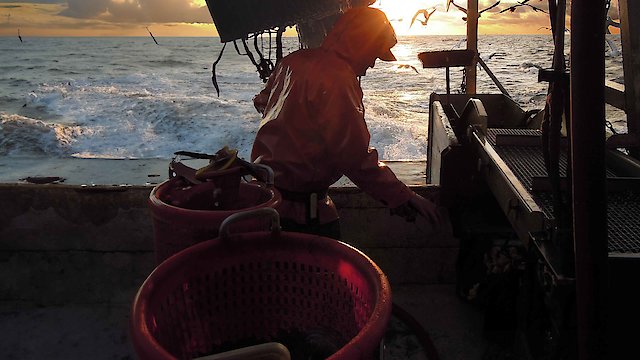 Watch The Salt of the Sea Online