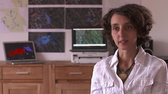 Watch Follow Your Cat Online