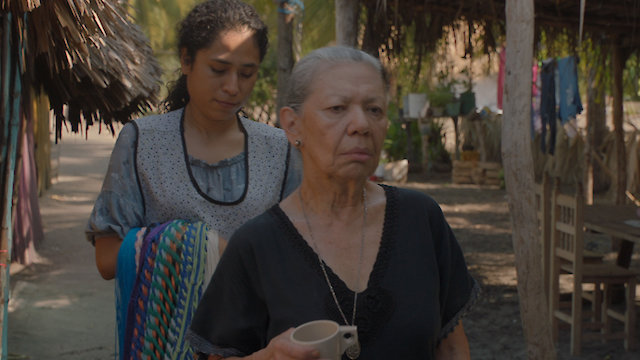 Watch Estoy todo lo iguana que se puede Online