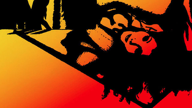 Watch Night of The Bloody Transplant Online