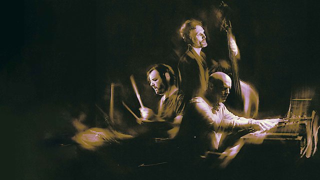 Watch Medeski, Martin & Wood - Not Not Jazz Online