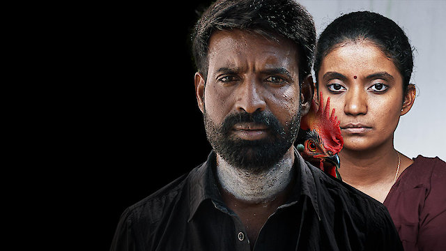 Watch Kottukkaali Online