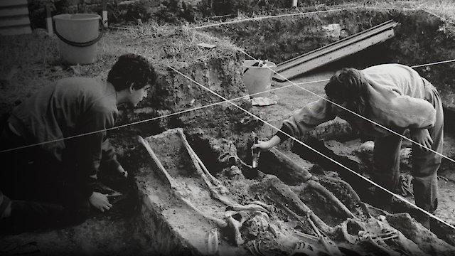 Watch El Equipo Online